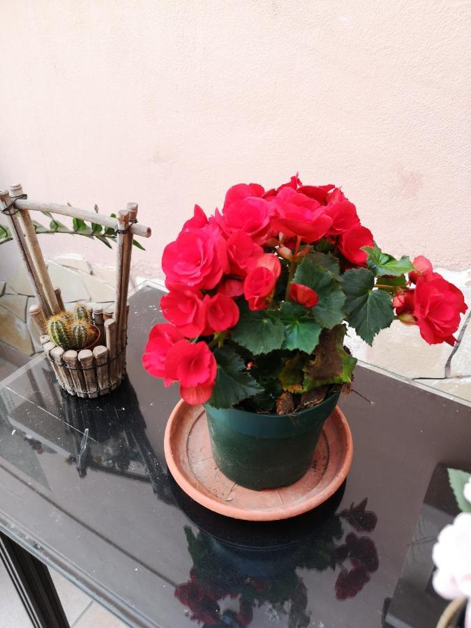B&B Casa Valeria Catania Esterno foto